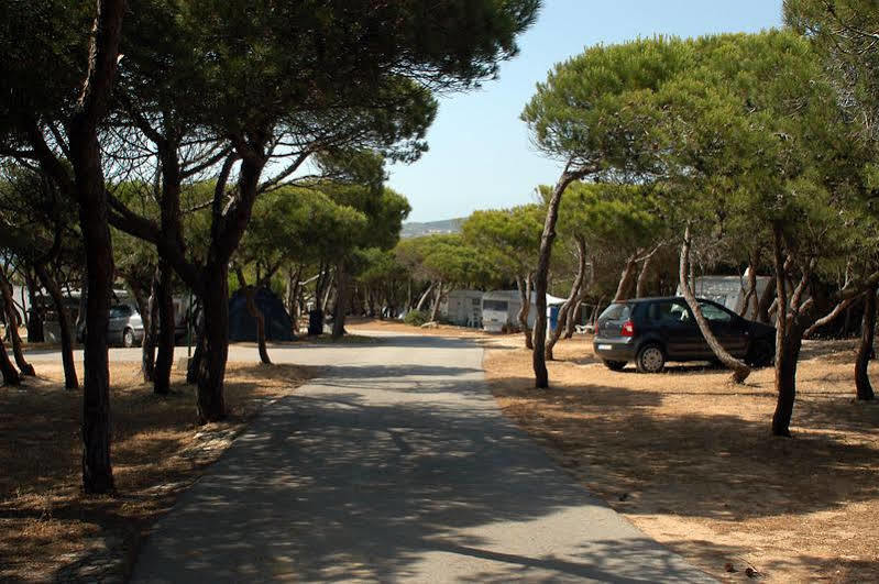 فندق Parque De Campismo Orbitur Guincho كاسكايس المظهر الخارجي الصورة